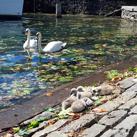 Apartamento Piazza Grande House