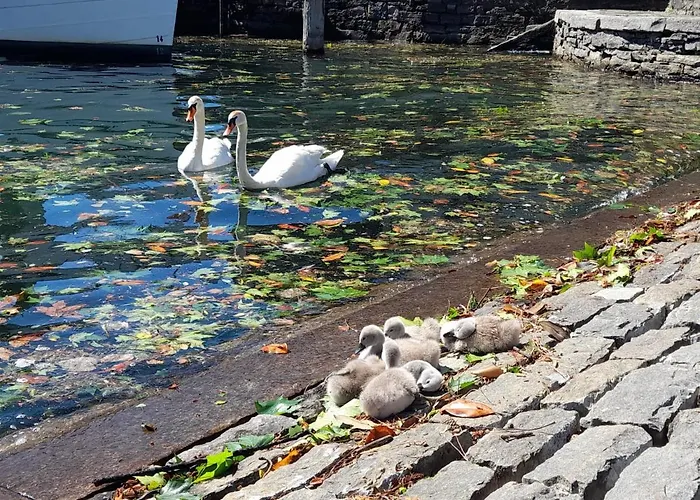 Appartamento Piazza Grande House